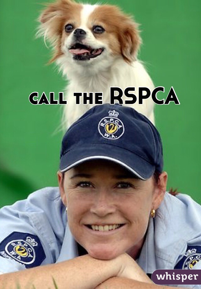 call the RSPCA 