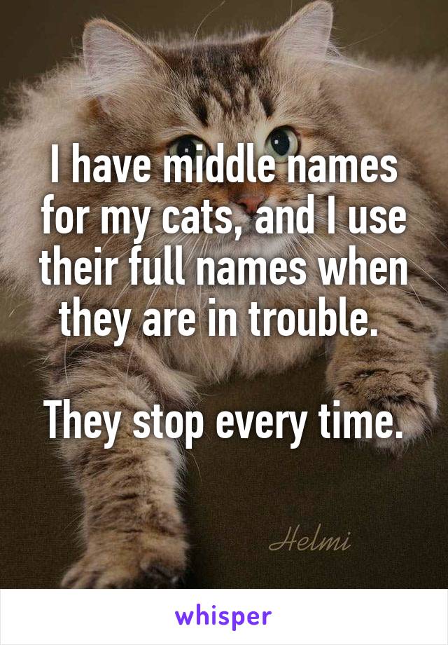 I have middle names for my cats, and I use their full names when they are in trouble. 

They stop every time. 