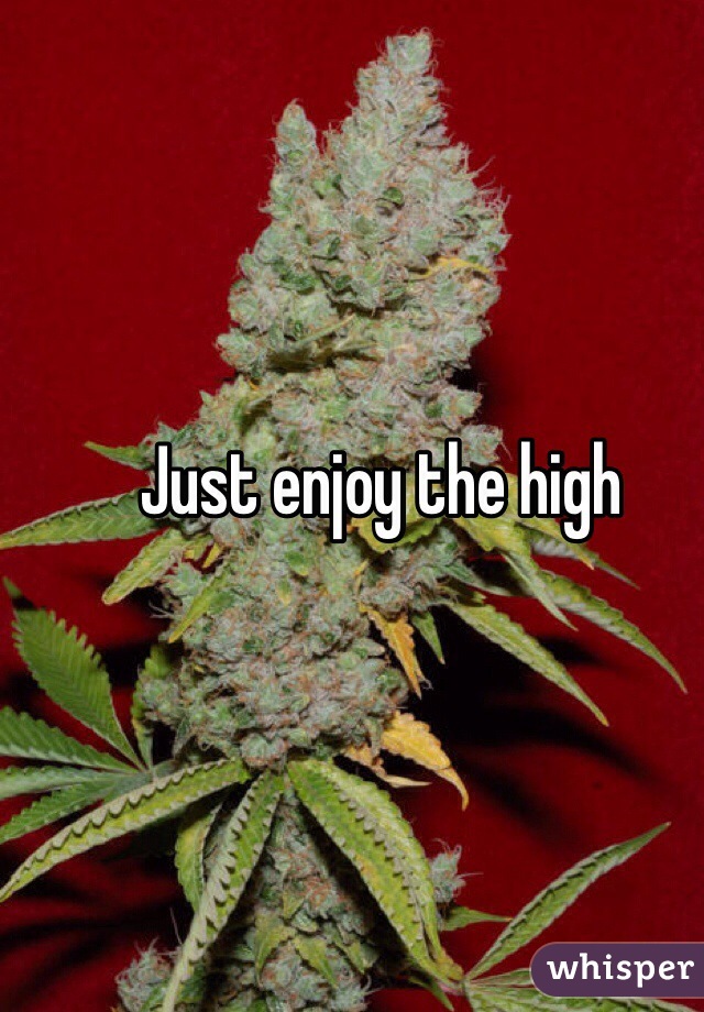 Just enjoy the high 