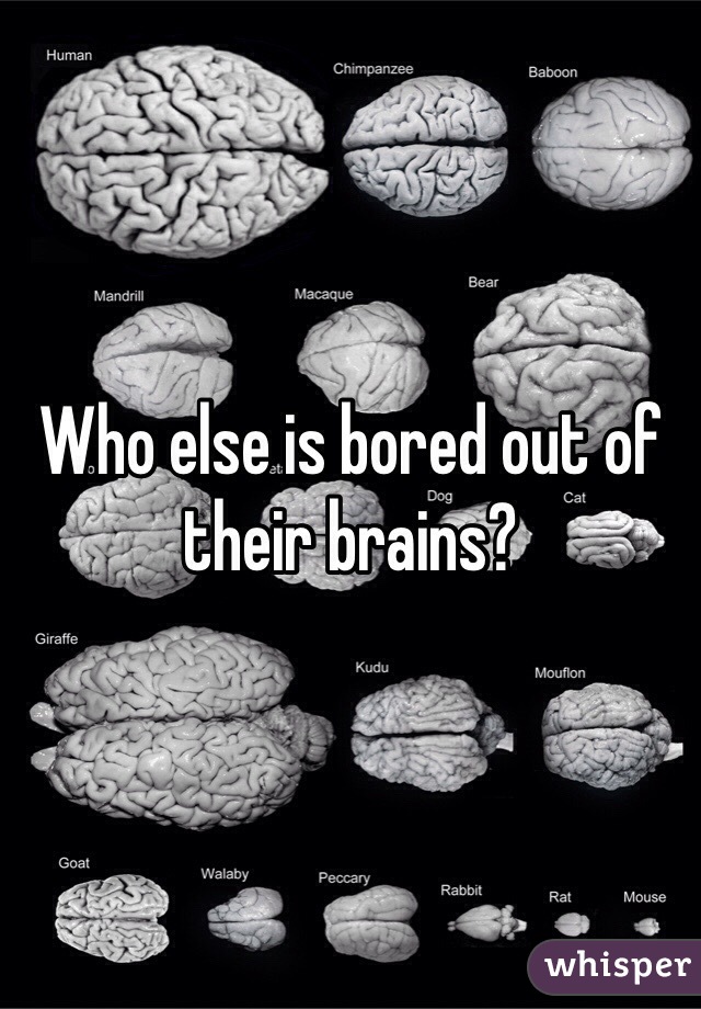 Who else is bored out of their brains? 