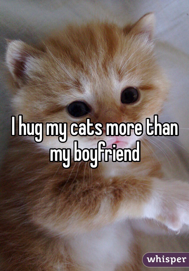 
I hug my cats more than my boyfriend 