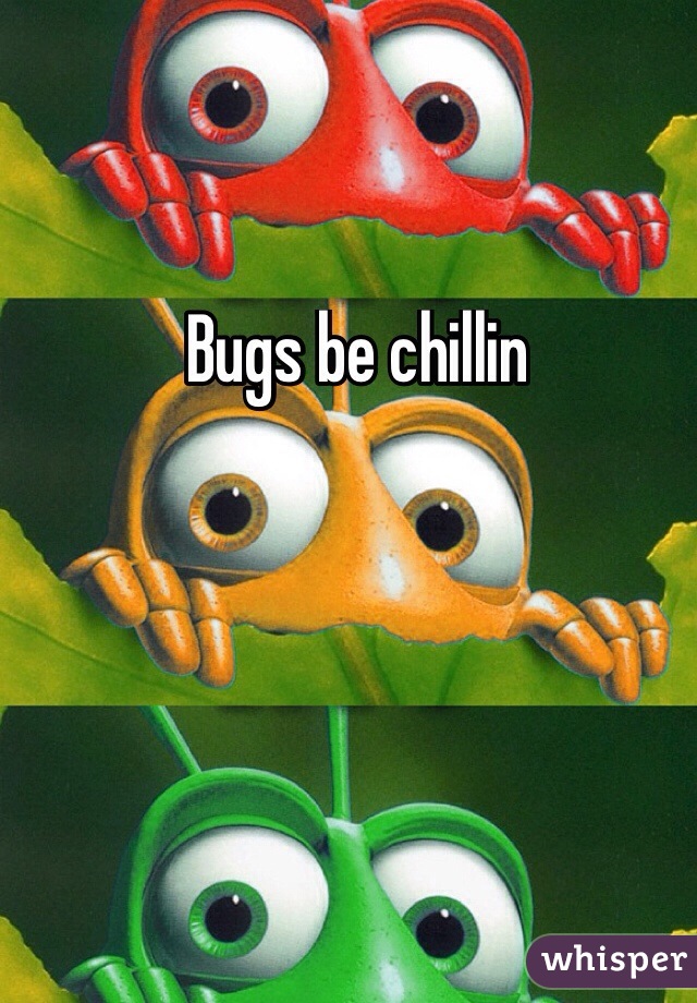 Bugs be chillin
