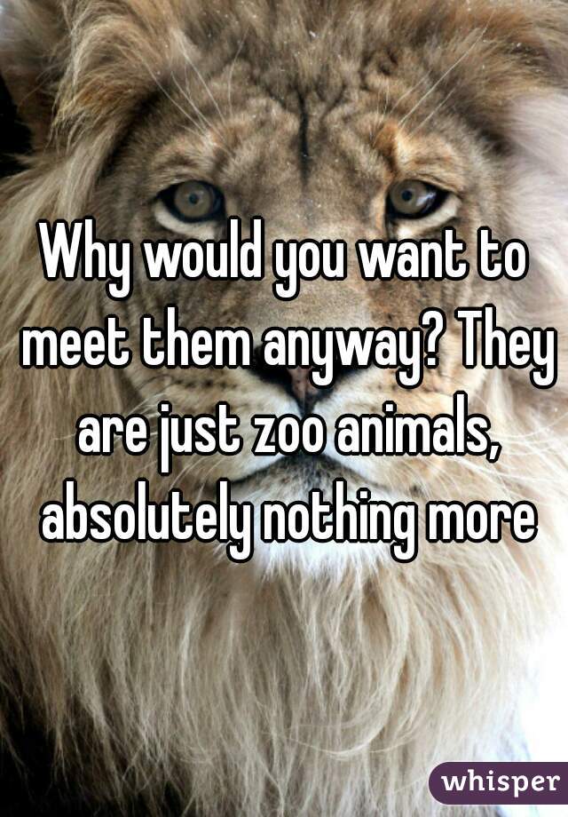 Why would you want to meet them anyway? They are just zoo animals, absolutely nothing more