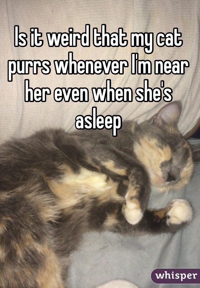 Is it weird that my cat purrs whenever I'm near her even when she's asleep 