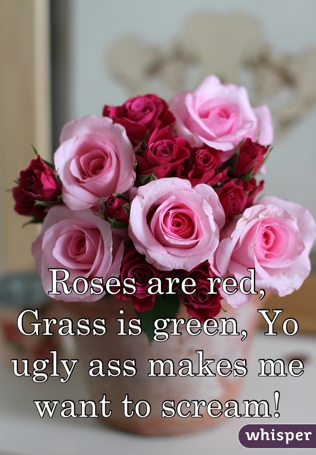 Roses are red, Grass is green, Yo ugly ass makes me want to scream!