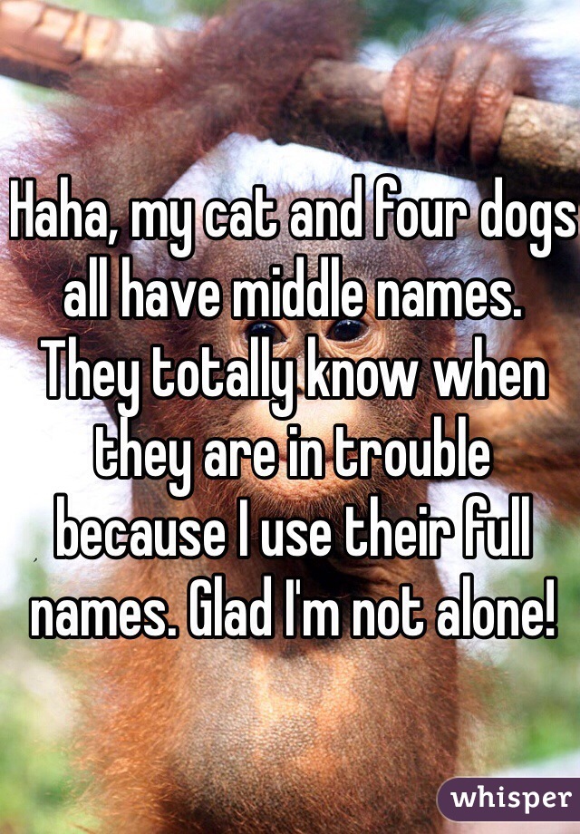 Haha, my cat and four dogs all have middle names. They totally know when they are in trouble because I use their full names. Glad I'm not alone!