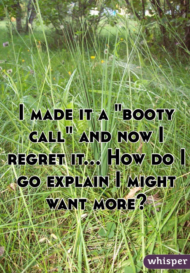 I made it a "booty call" and now I regret it... How do I go explain I might want more?