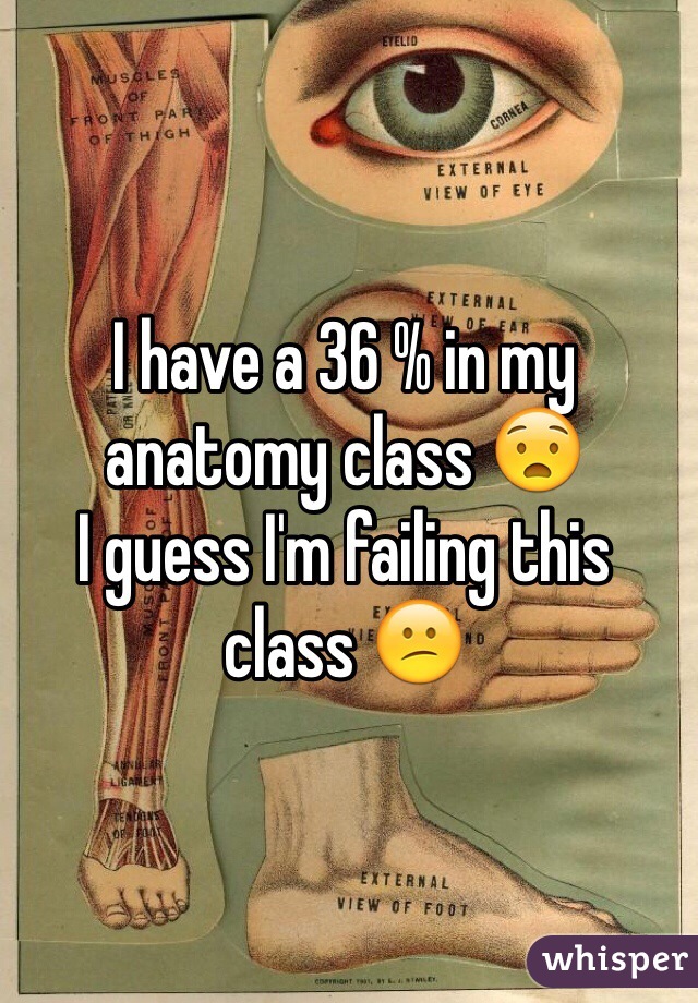 I have a 36 % in my anatomy class 😧 
I guess I'm failing this class 😕