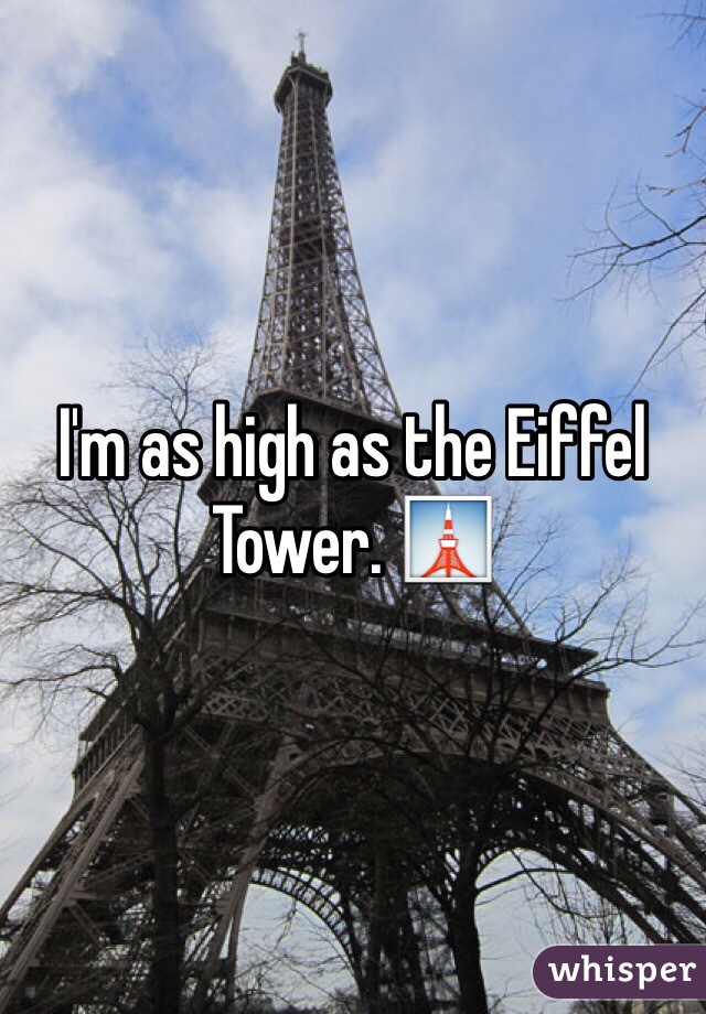 I'm as high as the Eiffel Tower. 🗼
