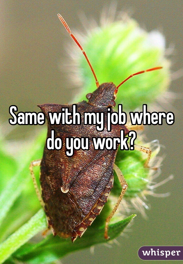 Same with my job where do you work?