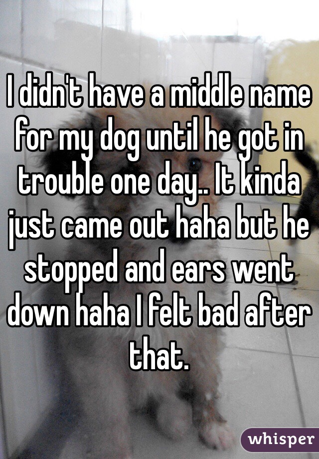 I didn't have a middle name for my dog until he got in trouble one day.. It kinda just came out haha but he stopped and ears went down haha I felt bad after that. 