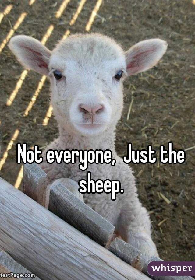 Not everyone,  Just the sheep. 