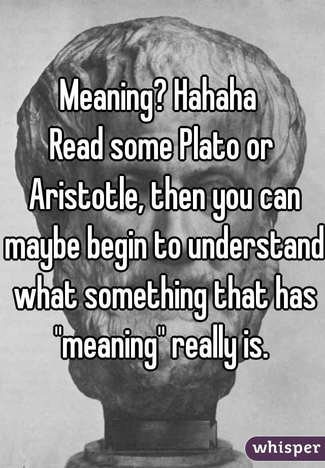 Meaning? Hahaha 
Read some Plato or Aristotle, then you can maybe begin to understand what something that has "meaning" really is. 