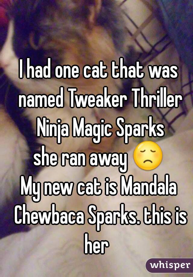 I had one cat that was named Tweaker Thriller Ninja Magic Sparks
she ran away 😞.
My new cat is Mandala Chewbaca Sparks. this is her  