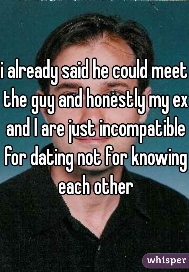 i already said he could meet the guy and honestly my ex and I are just incompatible for dating not for knowing each other