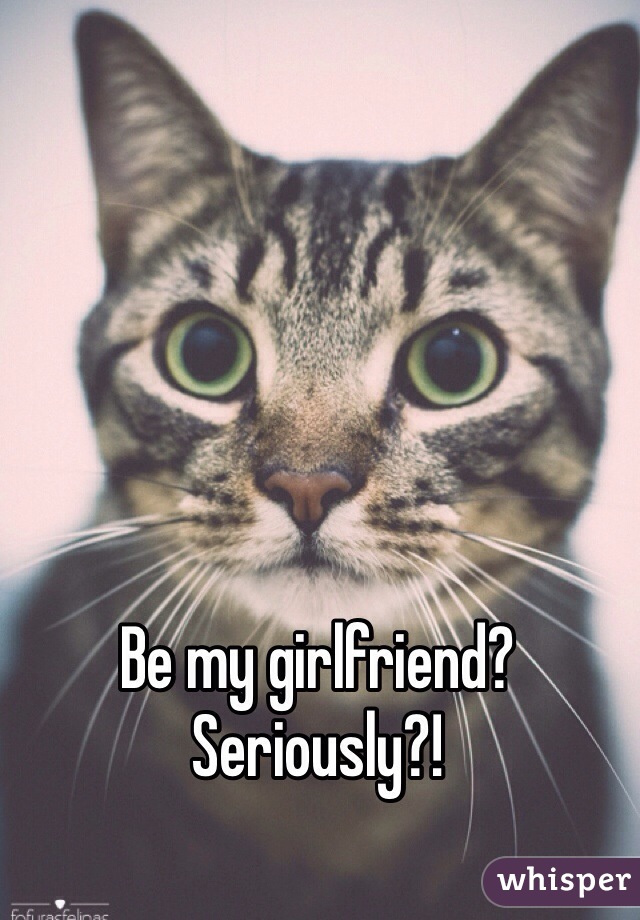 Be my girlfriend?
Seriously?!