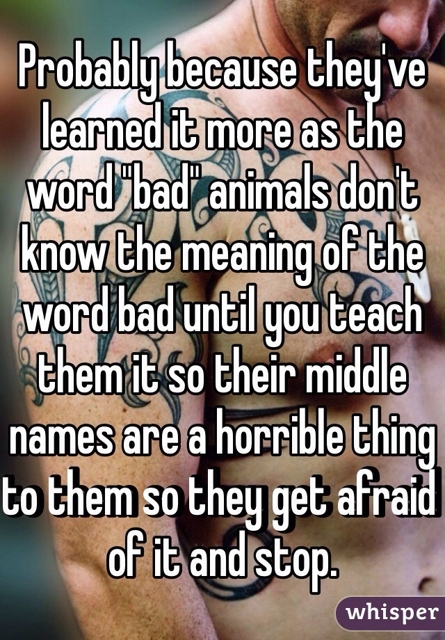 Probably because they've learned it more as the word "bad" animals don't know the meaning of the word bad until you teach them it so their middle names are a horrible thing to them so they get afraid of it and stop.