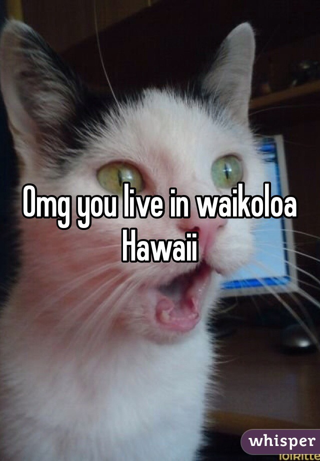 Omg you live in waikoloa Hawaii