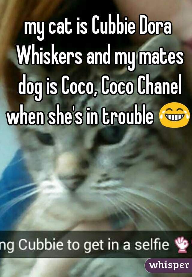 my cat is Cubbie Dora Whiskers and my mates dog is Coco, Coco Chanel when she's in trouble 😂 