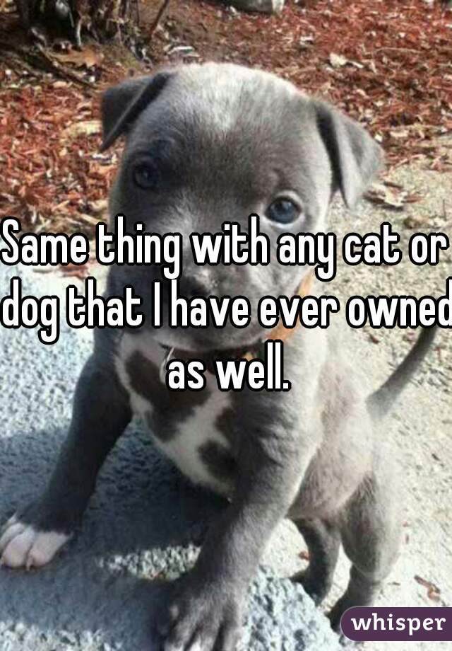 Same thing with any cat or dog that I have ever owned as well.