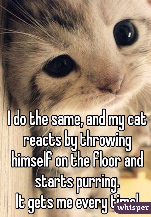 I do the same, and my cat reacts by throwing himself on the floor and starts purring.
It gets me every time!