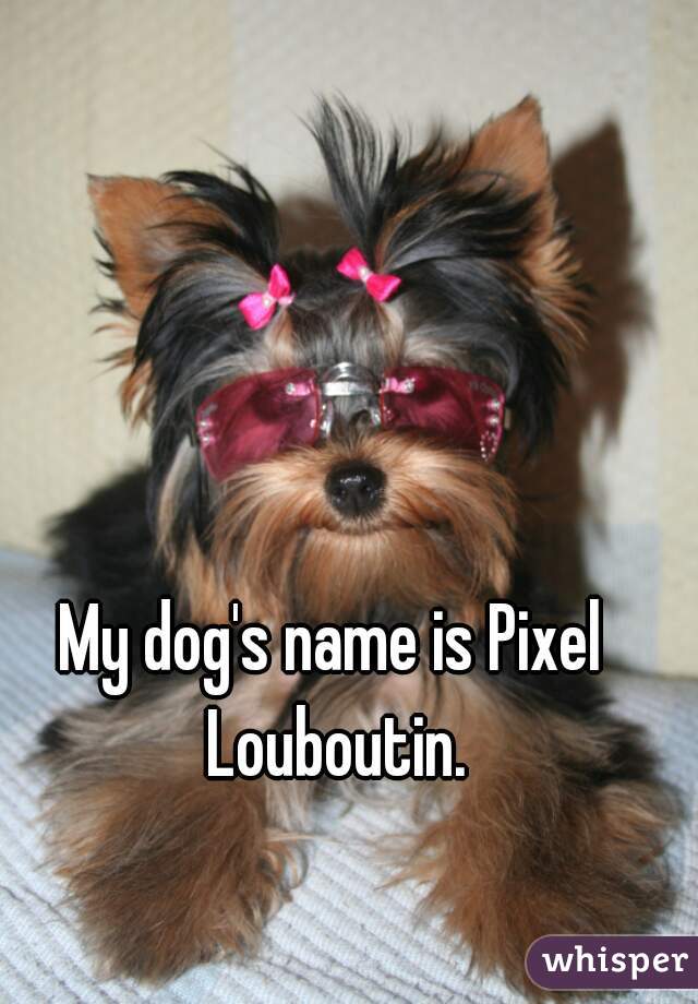 My dog's name is Pixel Louboutin.