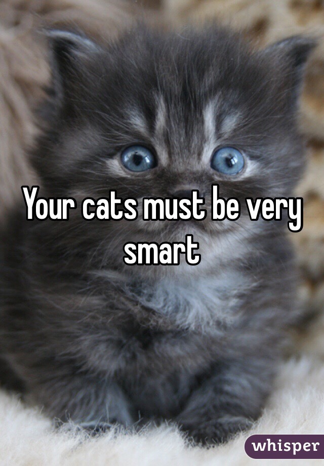 Your cats must be very smart 