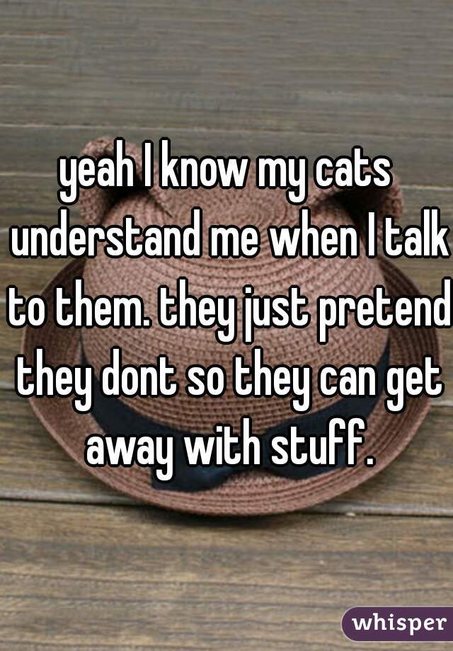 yeah I know my cats understand me when I talk to them. they just pretend they dont so they can get away with stuff.