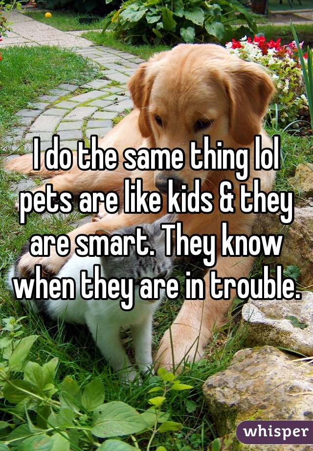 I do the same thing lol pets are like kids & they are smart. They know when they are in trouble. 