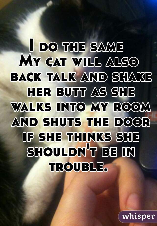 I do the same 
My cat will also back talk and shake her butt as she walks into my room and shuts the door if she thinks she shouldn't be in trouble. 