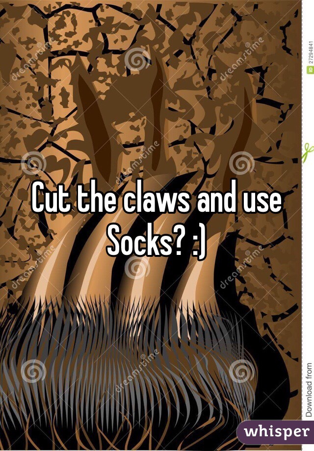Cut the claws and use Socks? :)