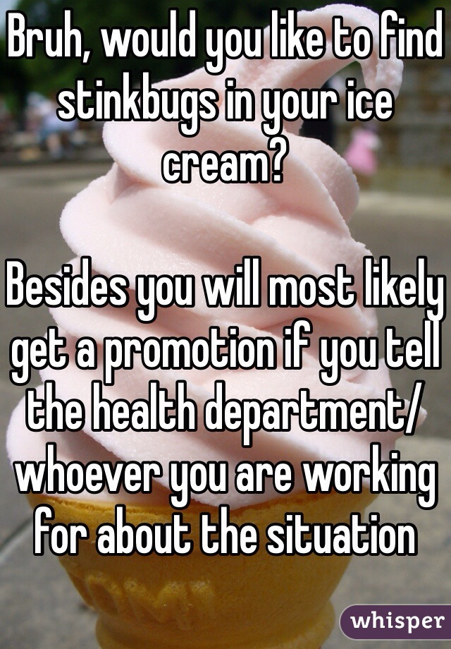 Bruh, would you like to find stinkbugs in your ice cream? 

Besides you will most likely get a promotion if you tell the health department/whoever you are working for about the situation 