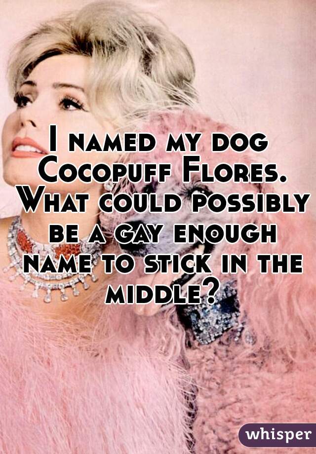 I named my dog Cocopuff Flores. What could possibly be a gay enough name to stick in the middle?