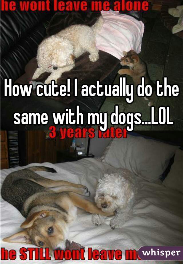 How cute! I actually do the same with my dogs...LOL