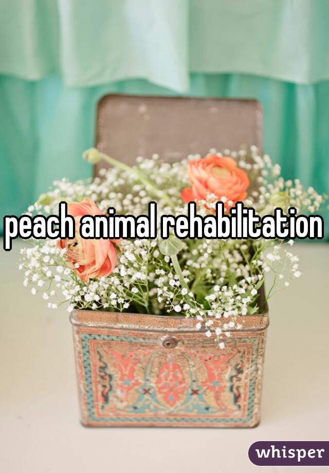 peach animal rehabilitation
