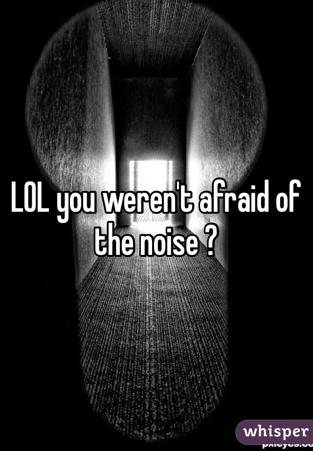 LOL you weren't afraid of the noise ? 