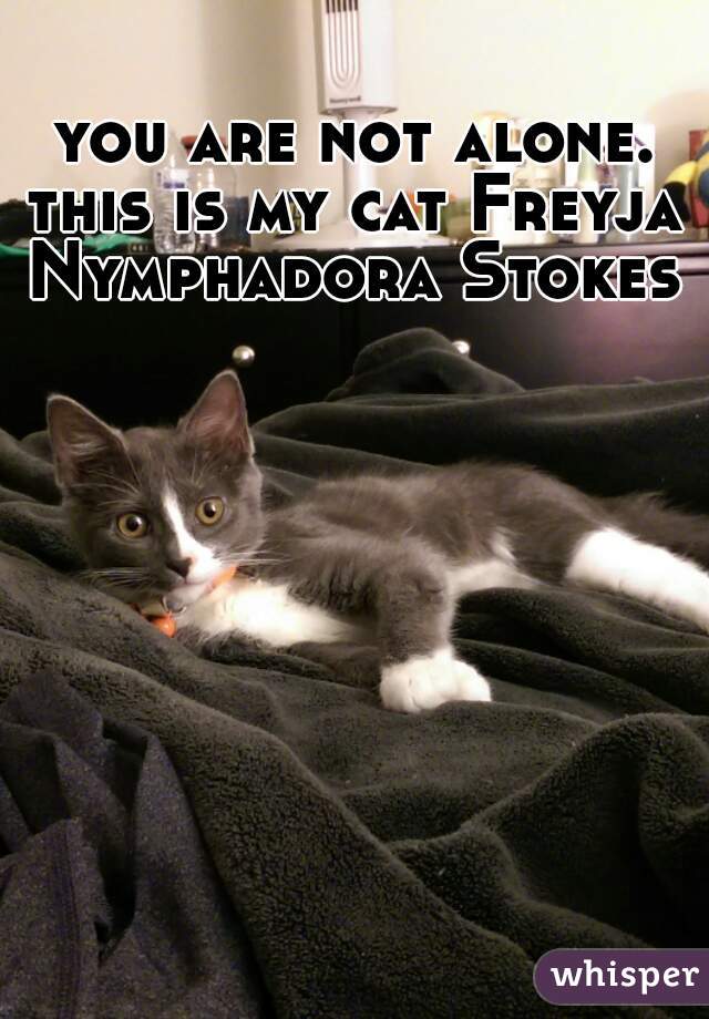 you are not alone.

this is my cat Freyja Nymphadora Stokes  