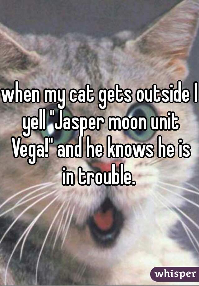 when my cat gets outside I yell "Jasper moon unit Vega!" and he knows he is in trouble. 