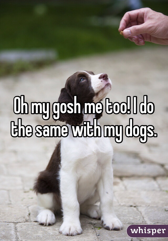 Oh my gosh me too! I do the same with my dogs. 