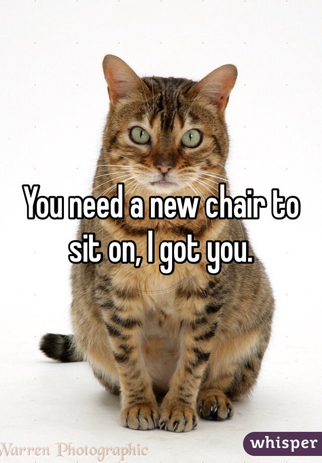 You need a new chair to sit on, I got you.