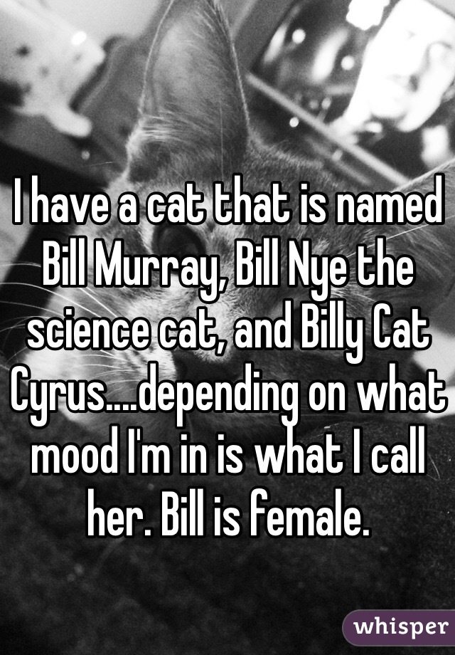 I have a cat that is named Bill Murray, Bill Nye the science cat, and Billy Cat Cyrus....depending on what mood I'm in is what I call her. Bill is female.