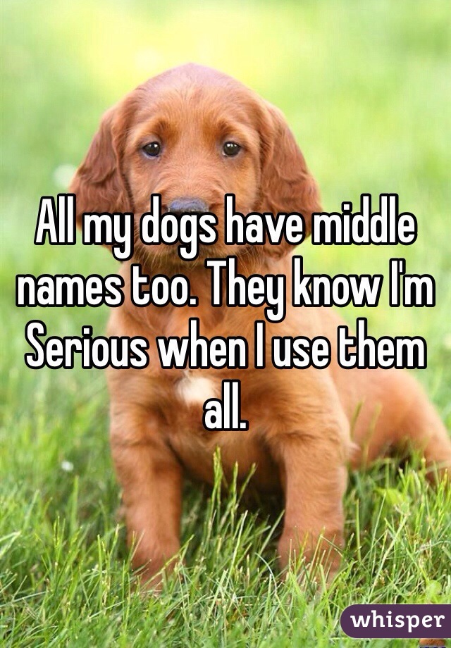 All my dogs have middle names too. They know I'm
Serious when I use them all. 