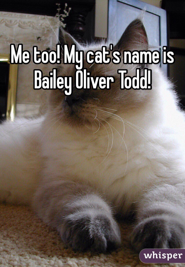 Me too! My cat's name is Bailey Oliver Todd! 