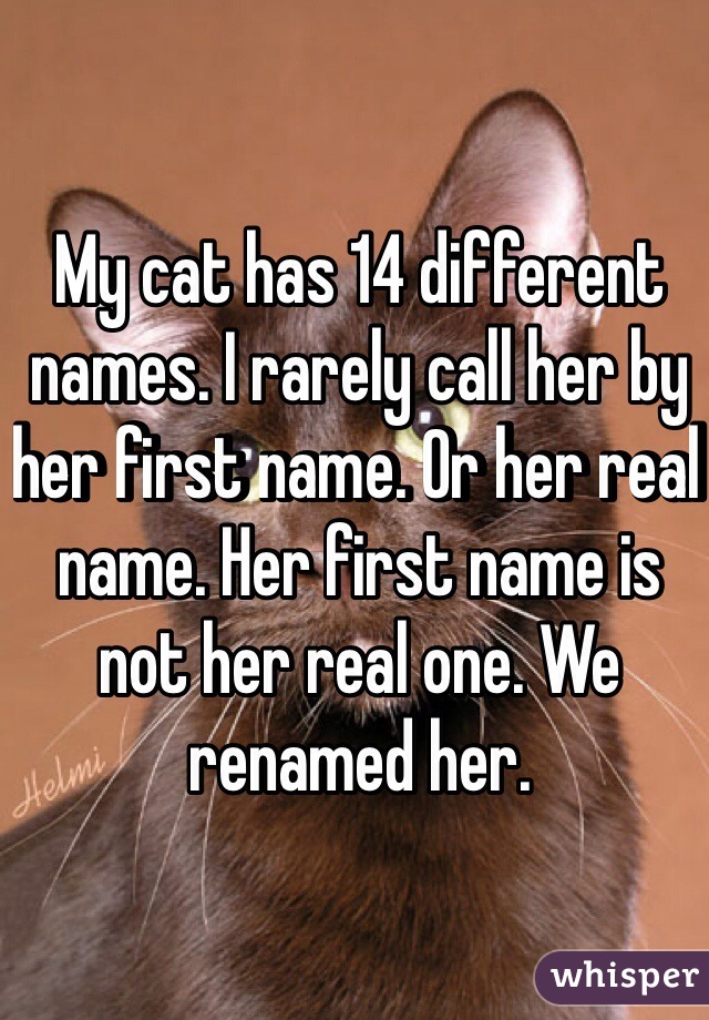 My cat has 14 different names. I rarely call her by her first name. Or her real name. Her first name is not her real one. We renamed her. 