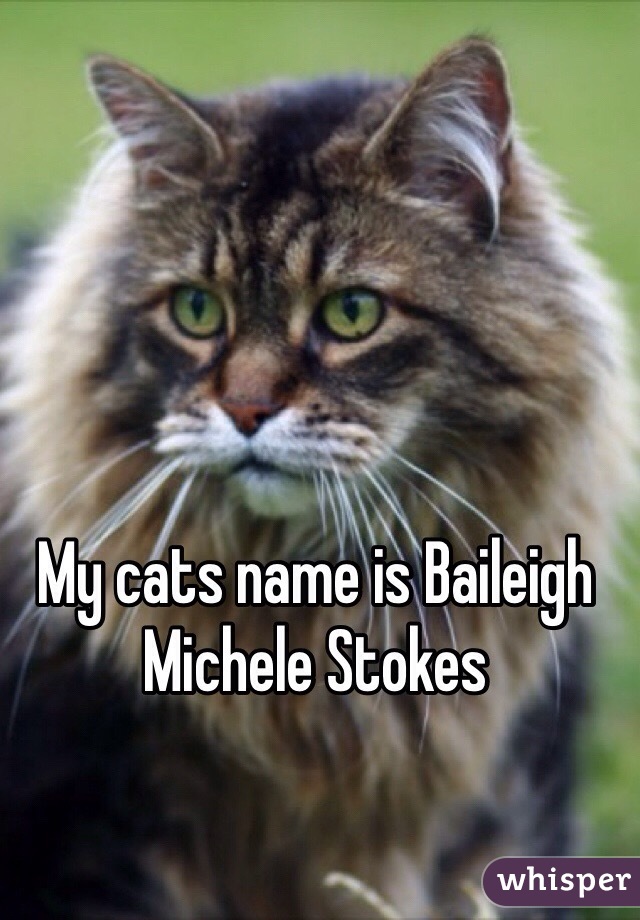 My cats name is Baileigh Michele Stokes