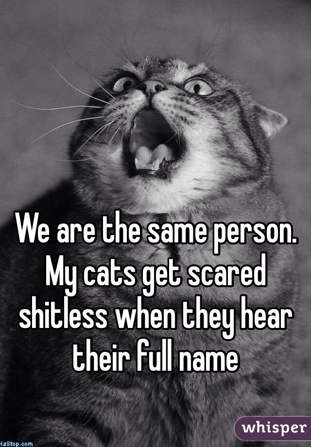 We are the same person. My cats get scared shitless when they hear their full name