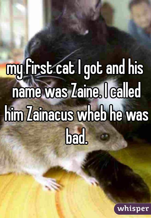 my first cat I got and his name was Zaine. I called him Zainacus wheb he was bad.