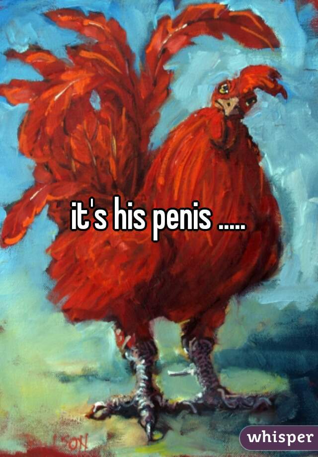 it's his penis .....