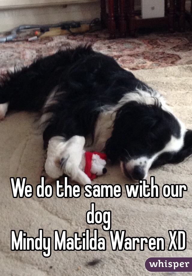 We do the same with our dog 
Mindy Matilda Warren XD