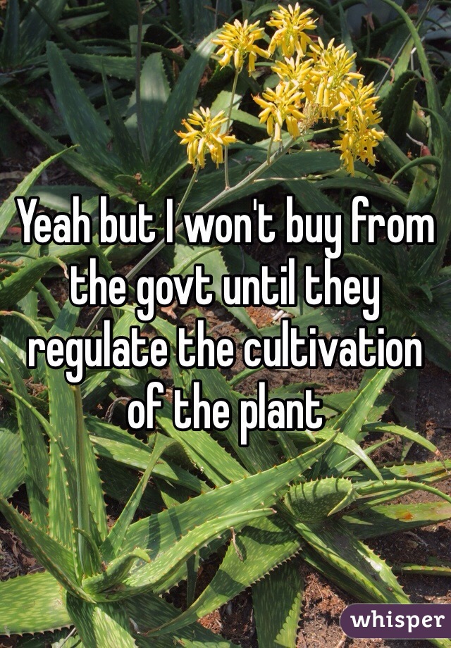 Yeah but I won't buy from the govt until they regulate the cultivation of the plant